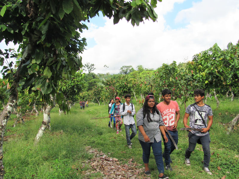 PRODUCCI&Oacute;N AGROPECUARIA